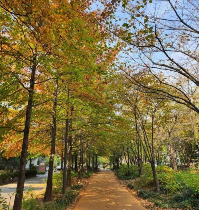 Hongdae Cozy House 2rooms 3beds * Seoul